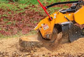 Best Aeration Services  in Prospect, OH